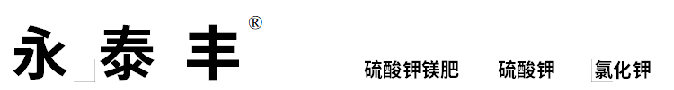必赢亚洲·bwin(中国区)官方网站