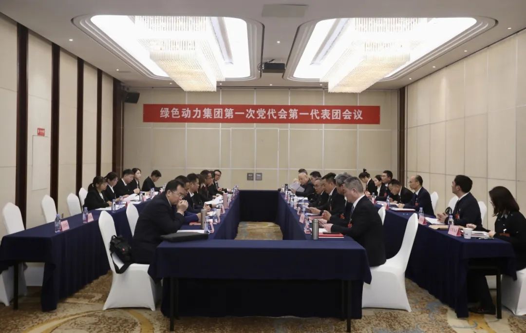 铭刻使命再出发，，，代表热议“两委”报告