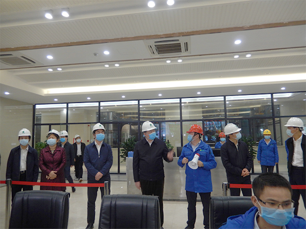 广西壮族自治区人大常委会副主任张秀隆视察yp街机博白项目